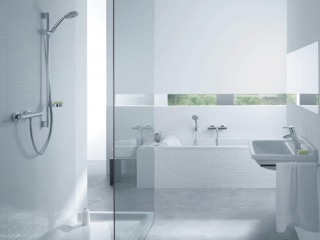 Hansgrohe 13116